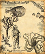 20 000 lieues sous les mers