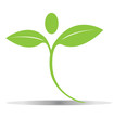 Vector: Green leaves logo vector eps10 Green leaves logo vector eps10