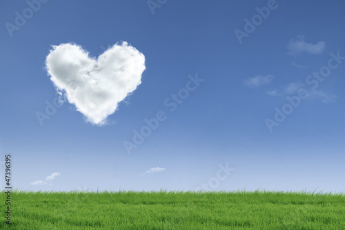 Illustration: Love valentine day field Love valentine day field