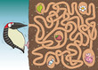 Woodpecker Maze Game ... with solution in hidden layer