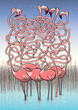 Five Flamingos Maze Game