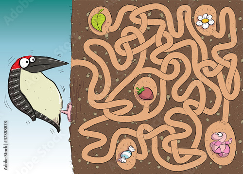 Vector: Woodpecker Maze Game ... with solution in hidden layer Woodpecker Maze Game ... with solution in hidden layer