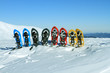 Snowshoes standing in the snow.