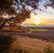 Beautiful autumnal lavender field