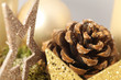 Glitzersterne und Zapfen im Winter