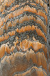 Evaporites