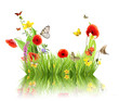 Concept of spring with meadow and water reflection