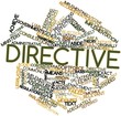 Word cloud for Directive