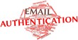 Word cloud for Email authentication