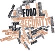Word cloud for Food security