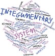 Word cloud for Integumentary system