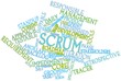 Word cloud for Scrum