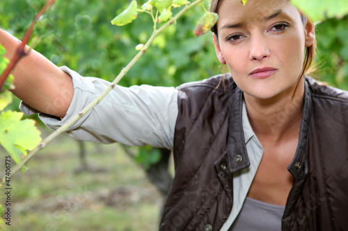 Photo: Woman between vine leaves Woman between vine leaves