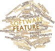 Word cloud for Software feature