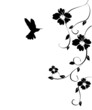 vector hummingbird and flowers