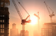 The building crane