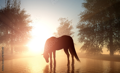 Illustration: Horse. Horse.