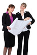 Businesswomen discussing plans