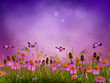 Fantasy Meadow