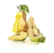 Pears