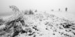 Foto: Group of people trekking in foggy winter landscape Group of people trekking in foggy winter landscape