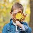 Petit espiègle d'automne