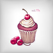 Vector hand drawn illustration of cupcake with cherry