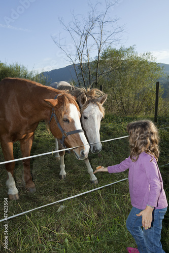 Photo: child and horses child and horses