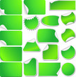 Blank Green Sticky Curled Paper Set on White