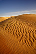 Photo: Sahara Sahara