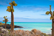 Galapagos Sea View