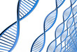 Image of DNA strand