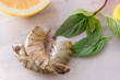 fresh shrimps