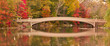 Panorama of fall colors in Central Park. New York City
