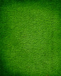 Photo : grass background grass background