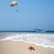 close up red starfish on beach and parachute in sky