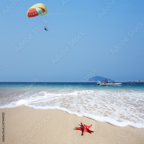 Photo: close up red starfish on beach and parachute in sky close up red starfish on beach and parachute in sky