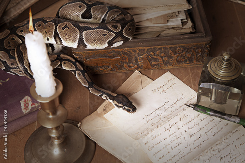 Photo: Vintage still life with snake and candle Vintage still life with snake and candle