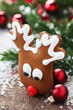 Gingerbread Moose