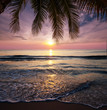 Tropical beach