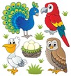 Various birds theme set 2