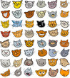 Cartoon funny cats heads big set