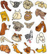 Cartoon funny dogs heads big set