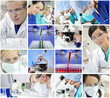 Scientific Research Team Men & Women in a Laboratory