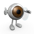 eye wearing a contact lens