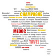 Vins de France-1
