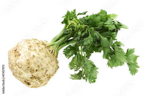 Photo: Celery Celery