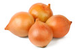Onion