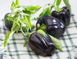 POIVRONS NOIRS