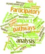 Word cloud for Participatory impact pathways analysis